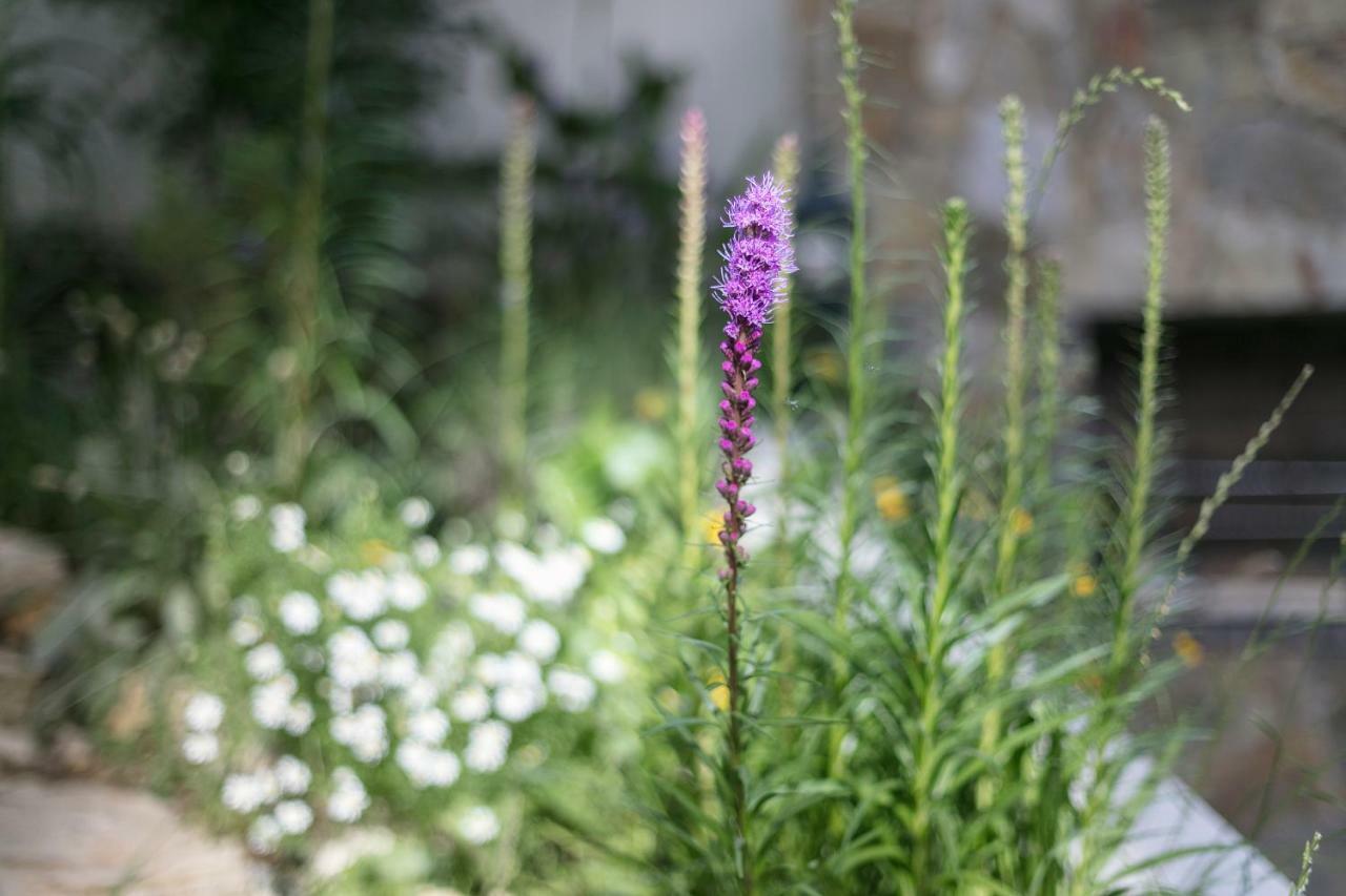 Fragrant Garden Apartment Lisbona Esterno foto